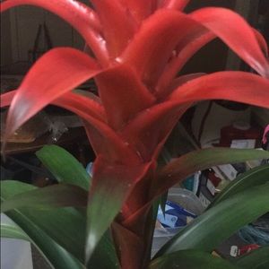 Meet your Posher, Heidi